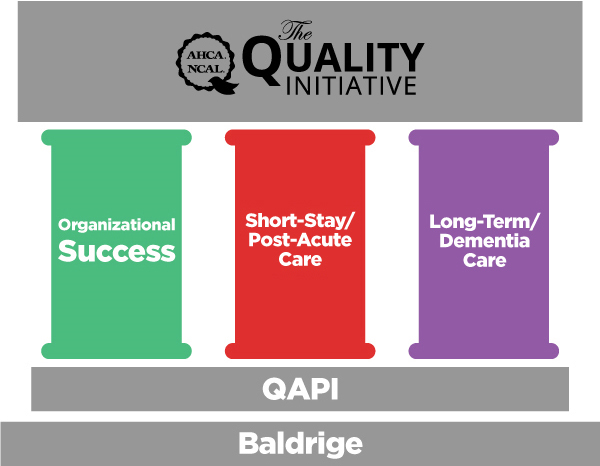 The Quality Initiative